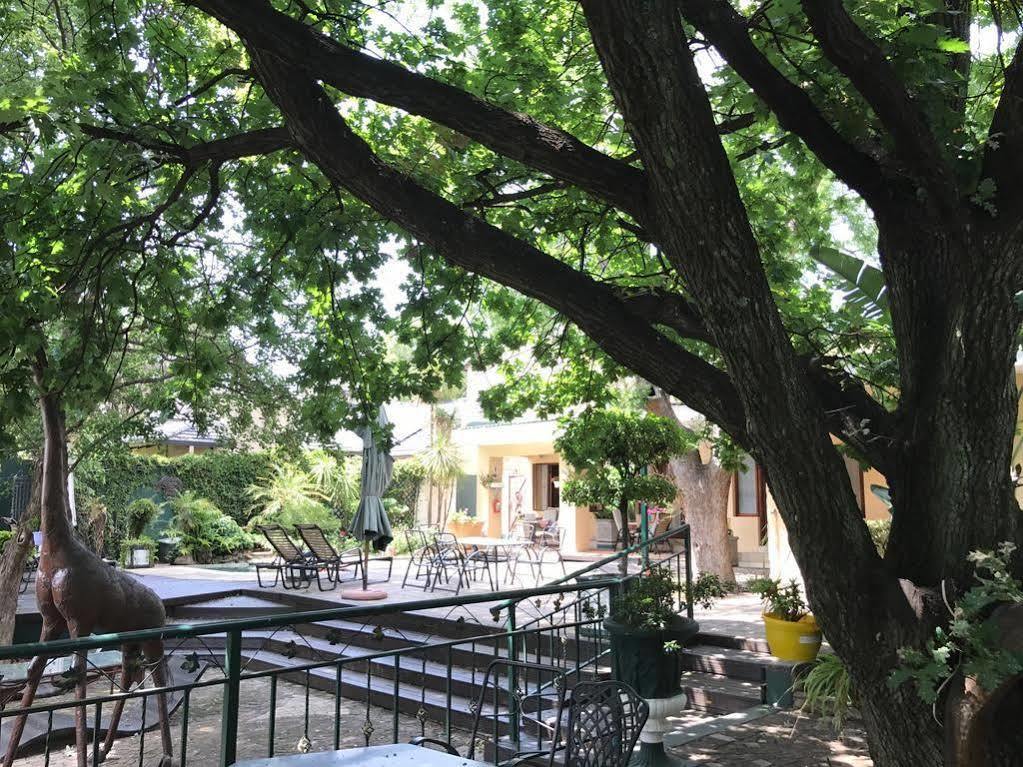 Elizabeth Manor Guest House Johannesburg Exterior foto